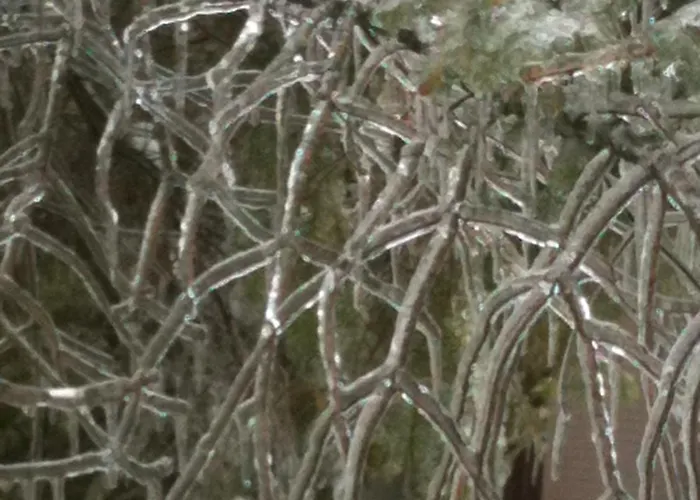 לינה וארוחת בוקר Antica Casa Menetti B E B ססטולה