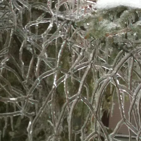 住宿加早餐酒店 Antica Casa Menetti B E B 塞斯托拉